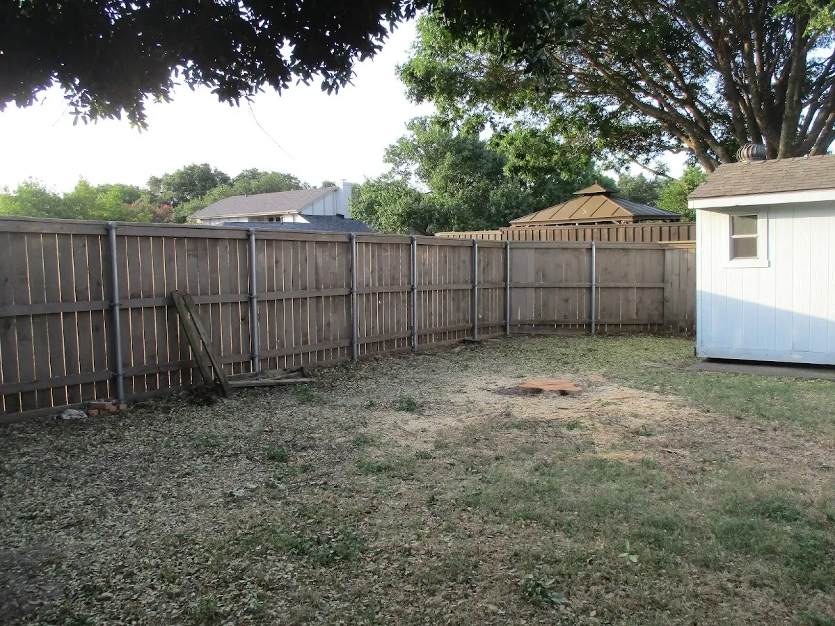Cleared yard after professional tree removal in Hospers